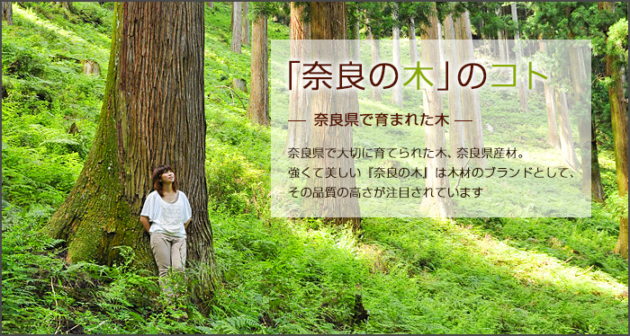 「奈良の木」のコト